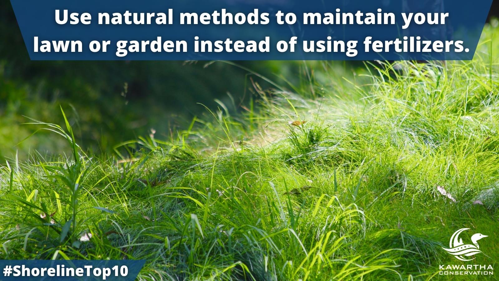 Shadow Lakes Association