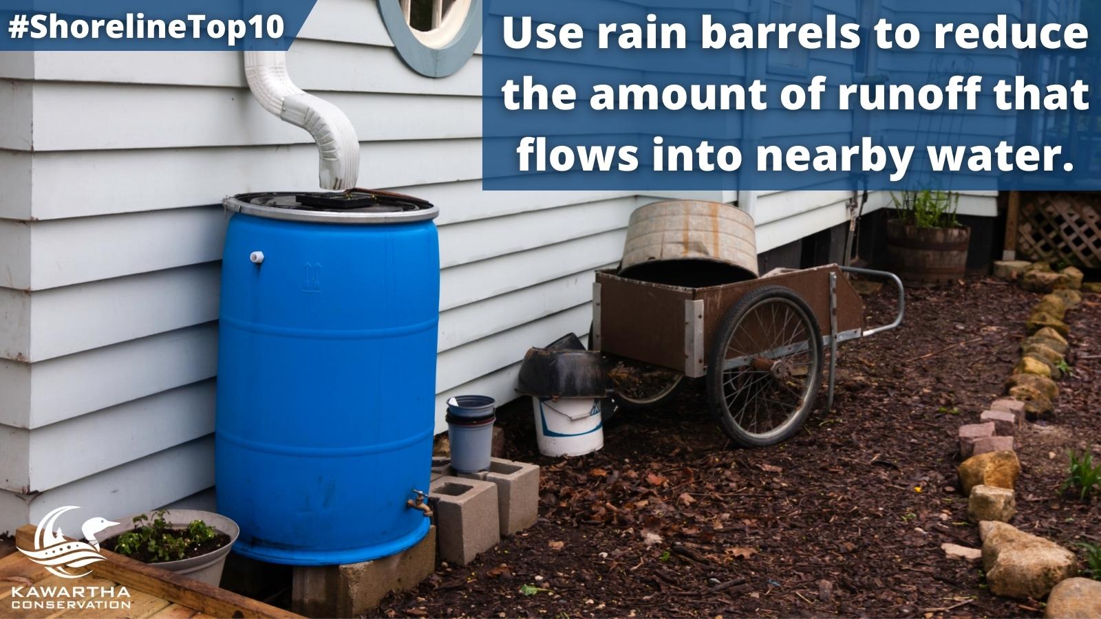 Shadow Lakes Association